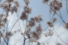 微笑み♪