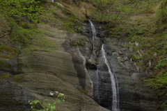 春を求めて、県北へ♪