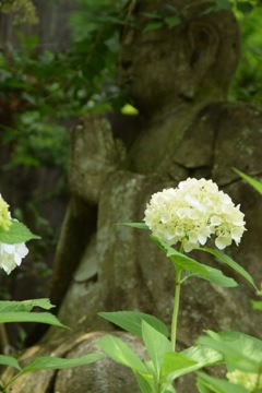 今年もこんにちは。