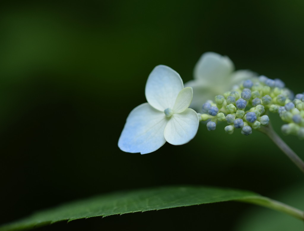 君はだれを見ているの。