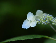 君はだれを見ているの。