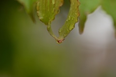 手はつないでいたいな…。