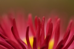 一歩ずつ…。迷いなく…。