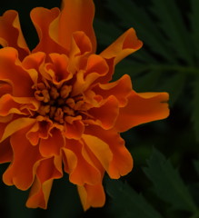 幾重にも、重なる想い。