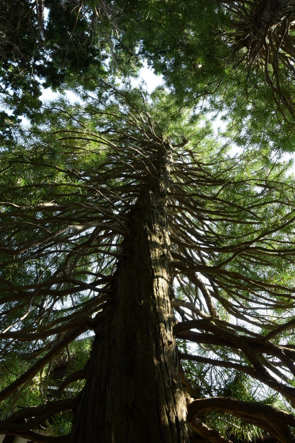 呉服屋を見守った年月