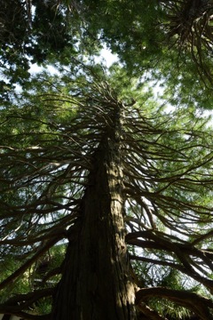 呉服屋を見守った年月