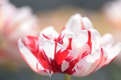 おめでとうございます。