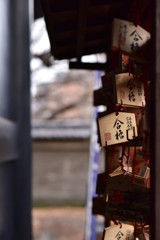 願　Ⅳ