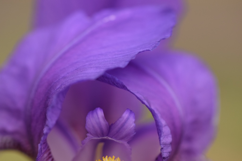 秘密のトンネル。