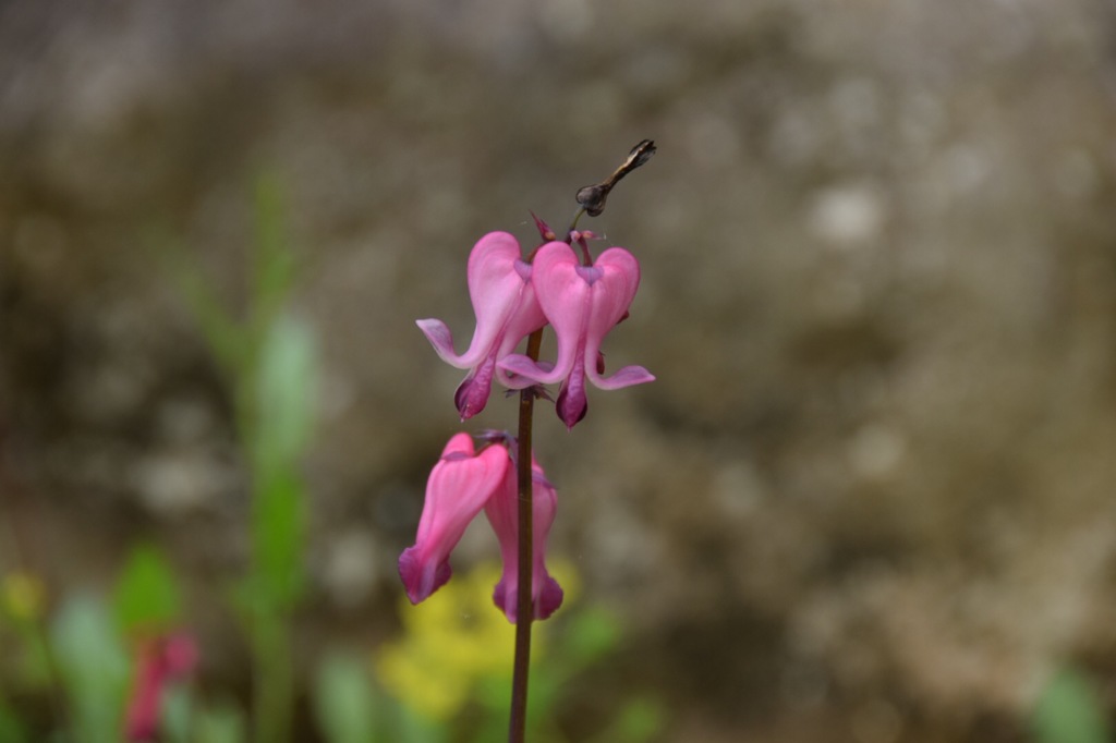 君のシルエット、素敵だね。
