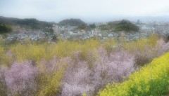 夢の住人♪