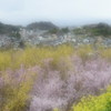 夢の住人♪
