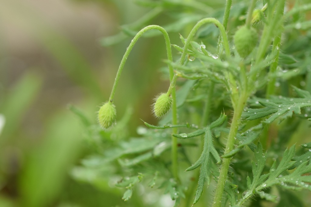 そうそう、私の真似してね。