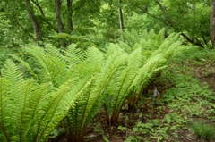 いってらっしゃいませ、って言われたかな。