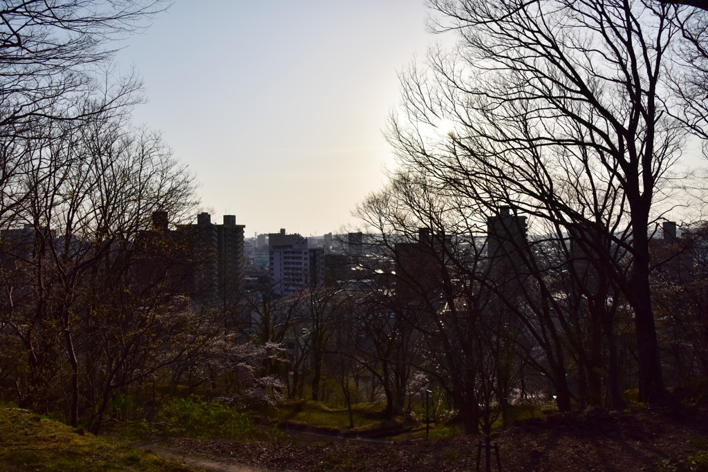 好きな公園から。