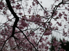 P1000059