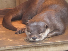 市川動植物園20191020