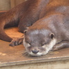 市川動植物園20191020