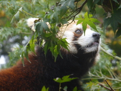 市川動植物園20191020