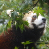市川動植物園20191020