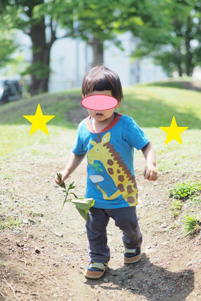 葉っぱを持って歩く１歳児