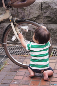 息子と子供乗せ自転車