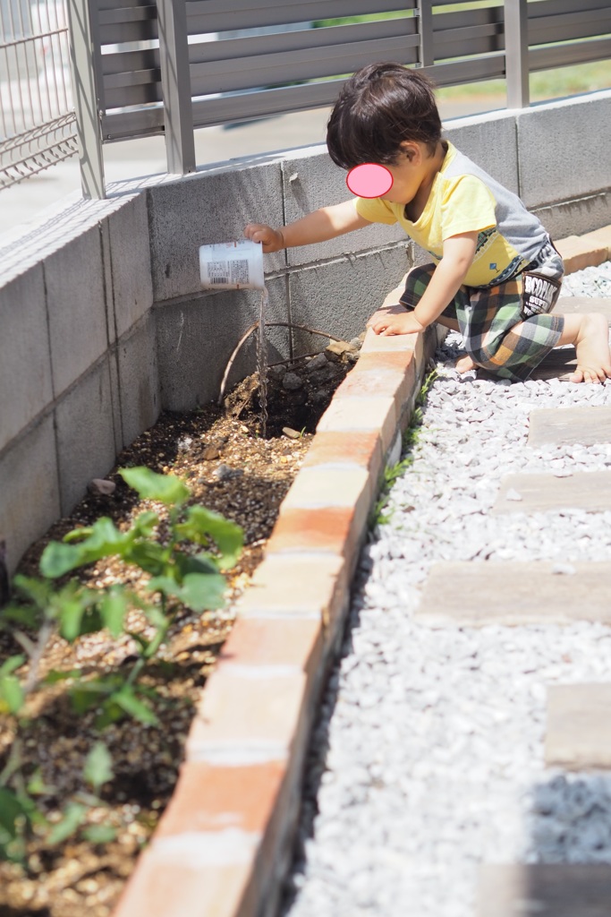 水やり１歳児