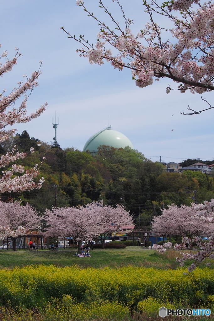 タンクのある風景・2016春