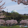 タンクのある風景・2016春