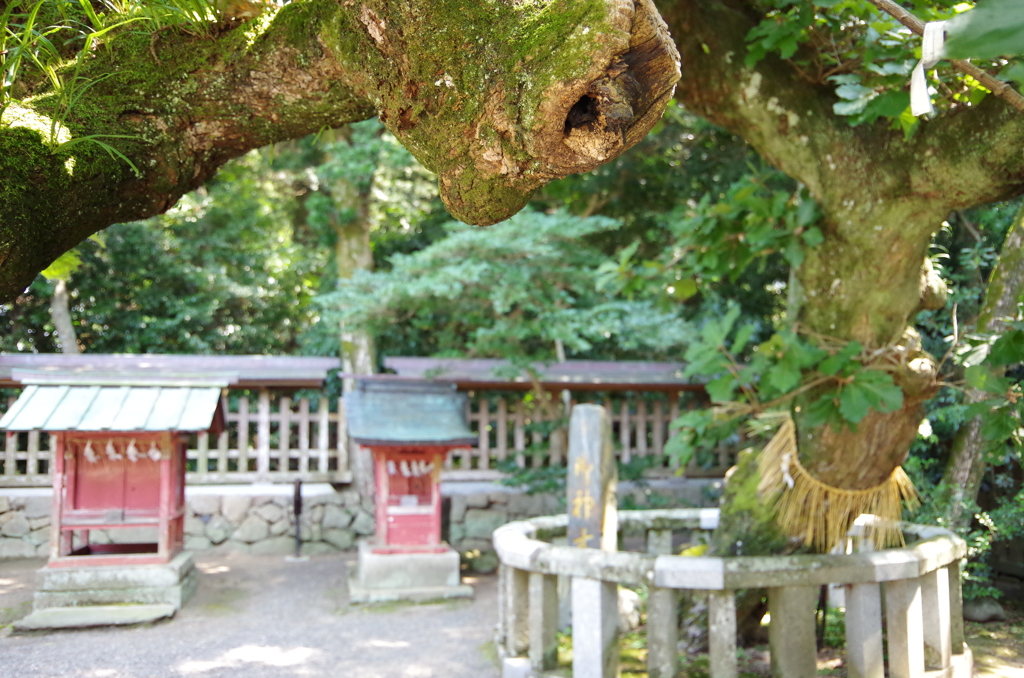 神様の宿る処