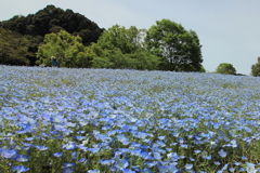 風立ちぬっぽい人写った