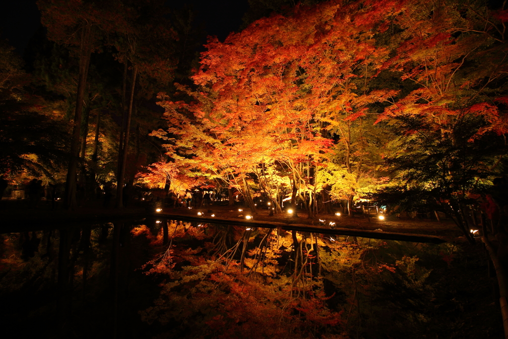 逆さ紅葉＃2