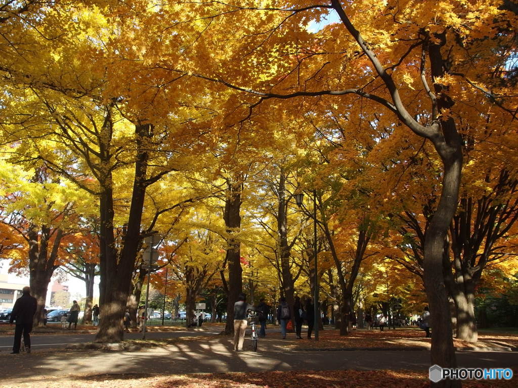 yellow!!