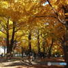 yellow!!