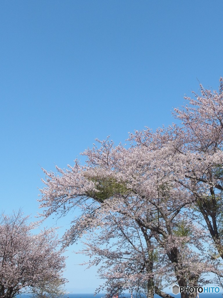 小樽水天宮