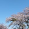 小樽水天宮