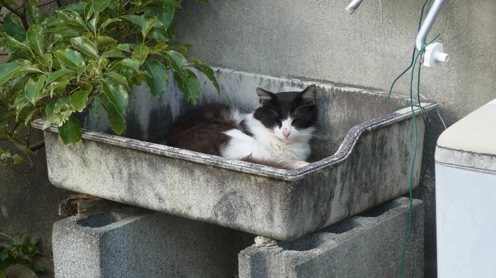 お寛ぎの処 (1)
