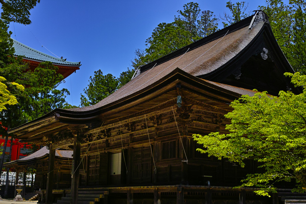 高野山 (7)