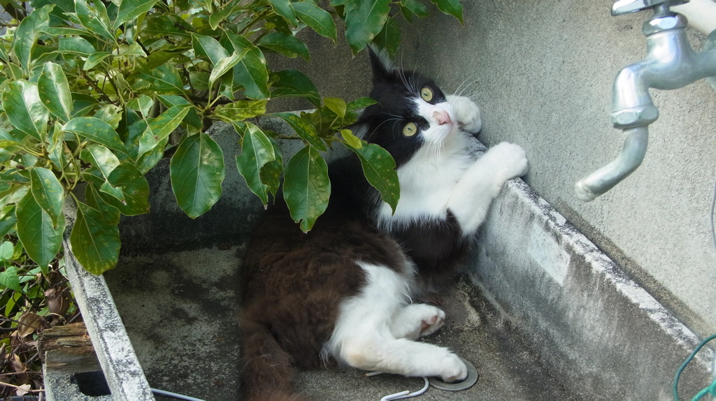 お寛ぎの処 (2)