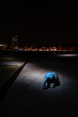 Lonly Elephant