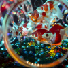 ART AQUARIUM 3