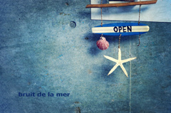 ～ 海の音が聞こえる ～　bruit de la mer