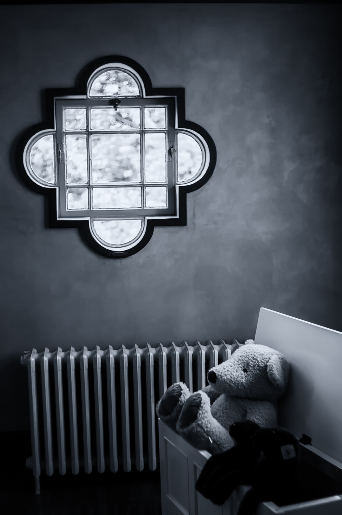 Teddy & Window
