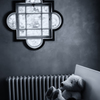 Teddy & Window