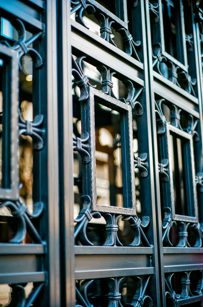 iron work with Ektar