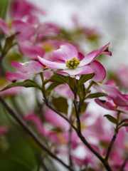 Am I indifferent to you?