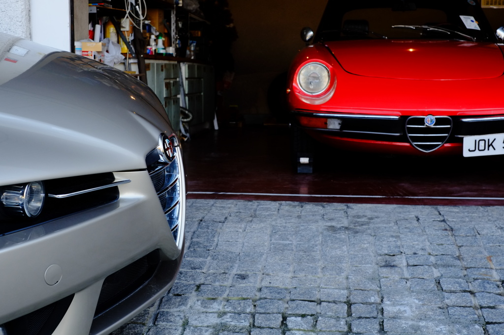 Alfa x Alfa