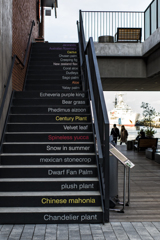 Marine & Walk <Staircase>