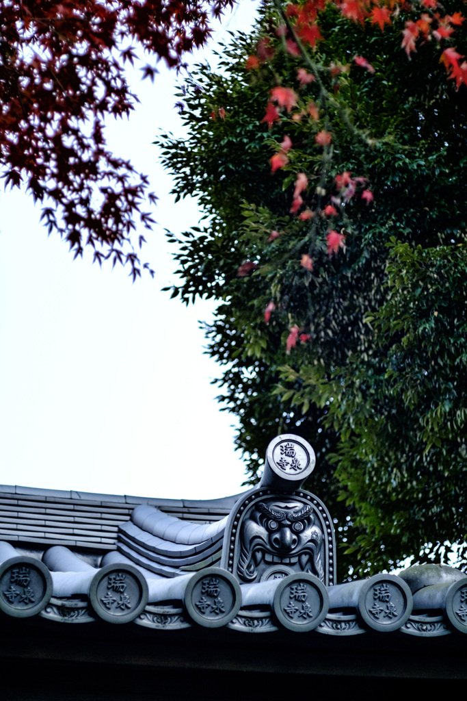 ogre-shaped gargoyle
