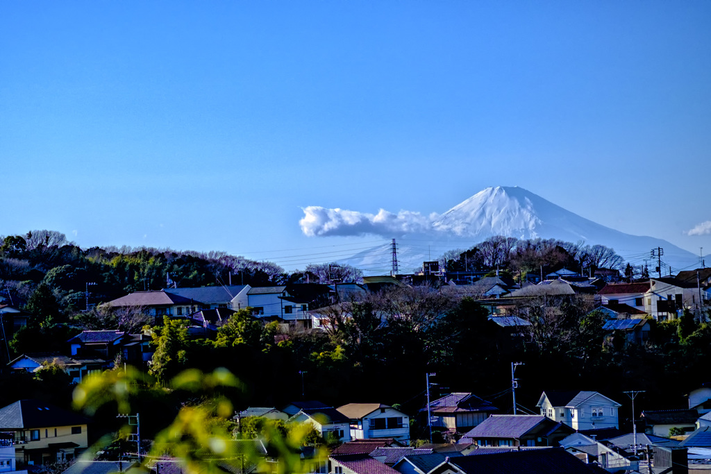 初富士